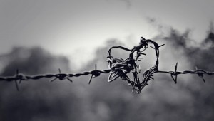 114573-Barb-Wire-Heart