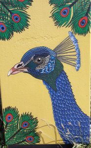 Organic Vibes 19.08.2023