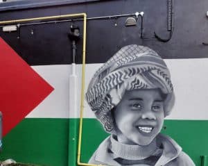 Organic Vibes 25.01.2024