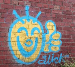 Organic Vibes 08.05.2024