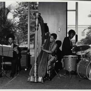 Organic Vibes 01.08.2024