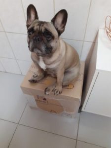 Organic Vibes 19.02.2025