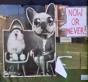 Organic Vibes 18.06.2025