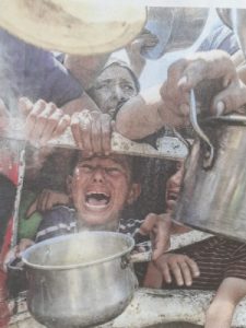 Organic Vibes 15.08.2025