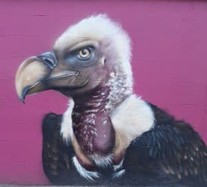 Organic Vibes 01.08.2025