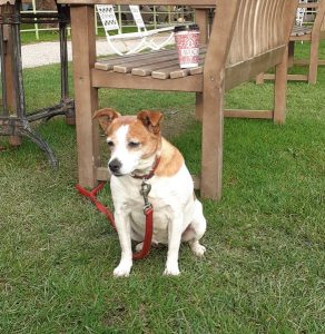 Organic Vibes 05.11.2025